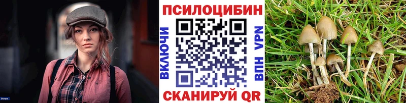 Галлюциногенные грибы MAGIC MUSHROOMS Лениногорск